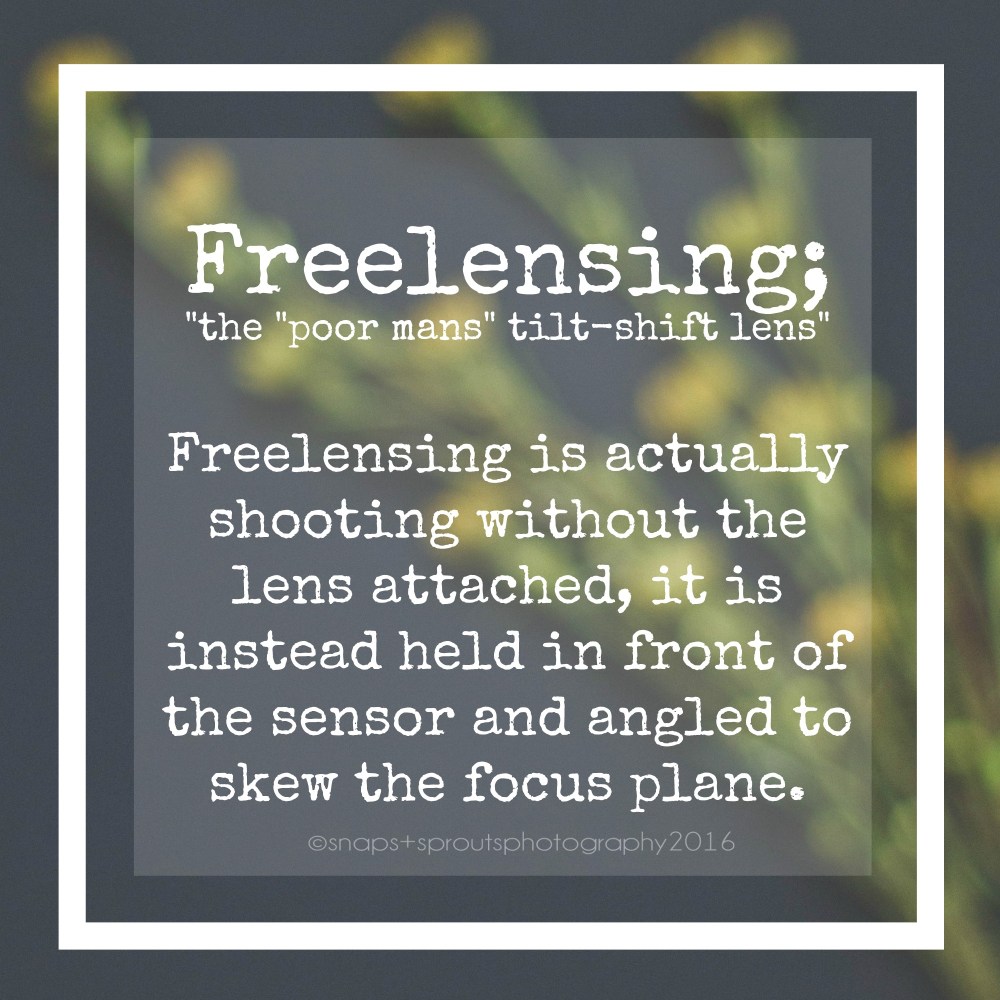 Freelensing